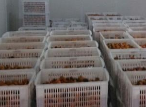 保鲜库和冷冻库的区别。