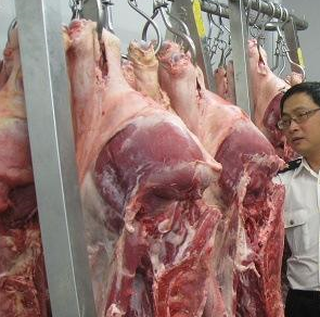 91视频网站下载设备厂家