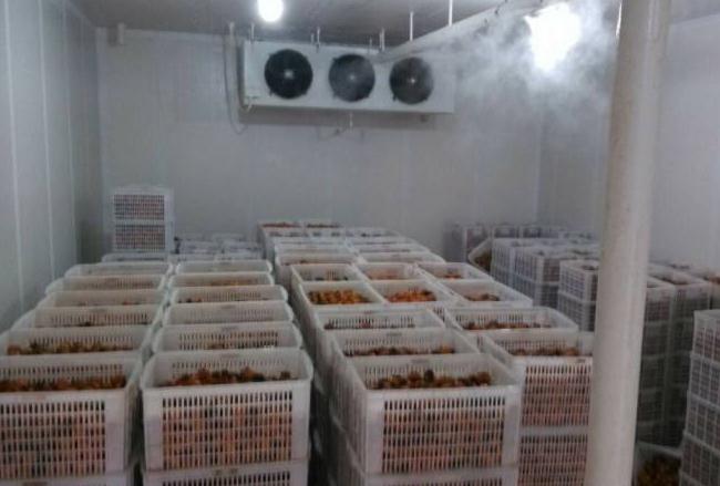 跟着安徽91视频18岁入口一起来了解下影响冷库设备制冷效果的几个因素吧！