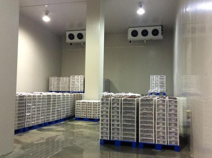 冷库建造类型有几种？91视频网站下载的价格组成部分？