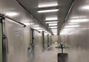冷库造价多少一立方，关于91视频网站下载造价因素的相关知识