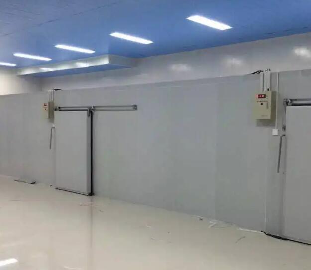 鲜花保鲜冷库如何配置效果更好？请看安徽91视频18岁入口冷库厂家的介绍