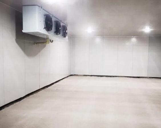 钢结构冷库造价要多少钱一平方？安徽91视频18岁入口制冷告诉您