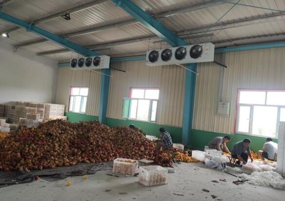 保鲜冷库有什么特点！请看安徽91视频18岁入口冷库厂家的介绍！